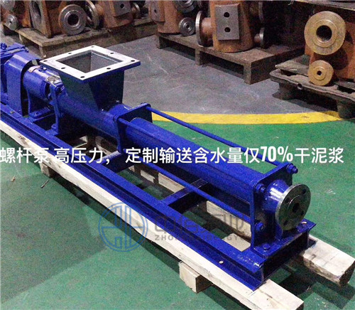 螺桿泵 http://www.machinerysurgeon.com/cpzx/lgb/