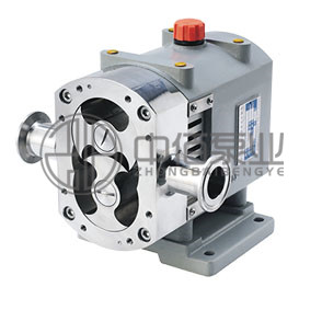 轉子泵 http://www.machinerysurgeon.com/cqzx/zzb/